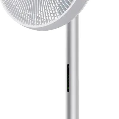 Standing Fan 3